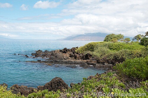 Maui Wailea Maui