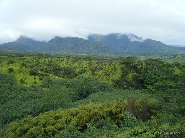 Mount Wai'ala'ale