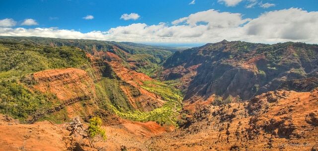 waimea canyon go visit hawaii