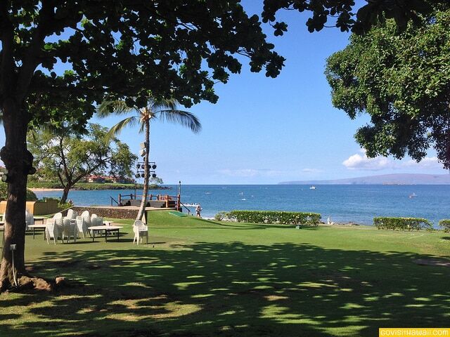 Luau grounds
