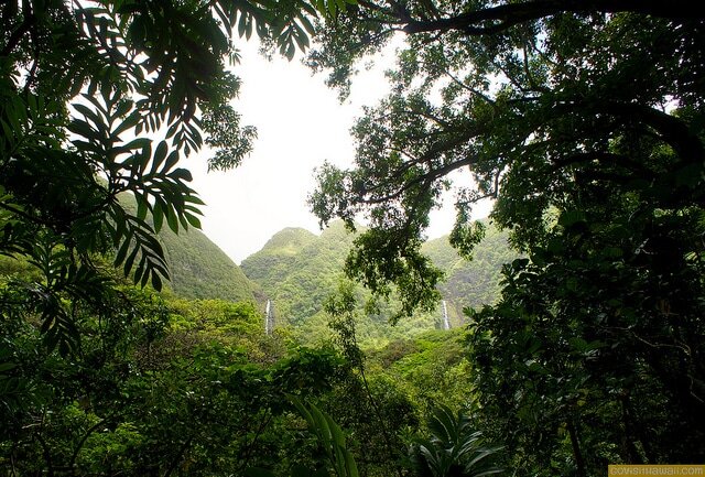 Two waterfalls visible in the verdant Halawa Valley.