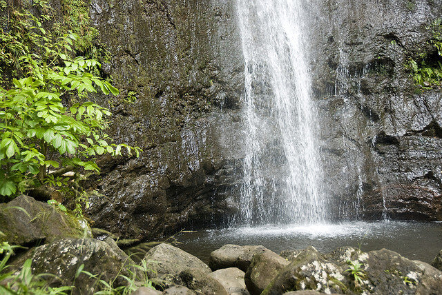 base of manoa falls