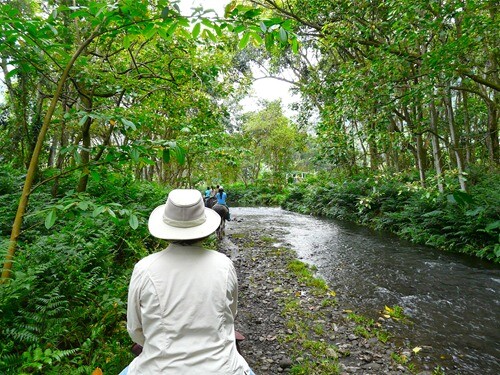 horseback-riding-waipio horseback-riding-waipio
