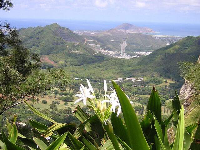 A view from the Pali Lookout