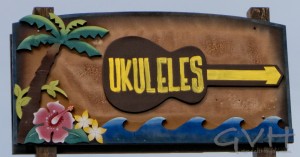 Ukulele Buying Guide