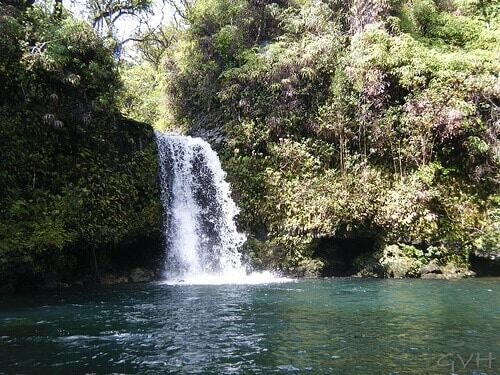 secluded waterfall from the road to Hana secluded waterfall from the road to Hana